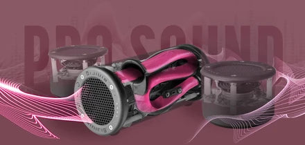 Minirig Subwoofer 4